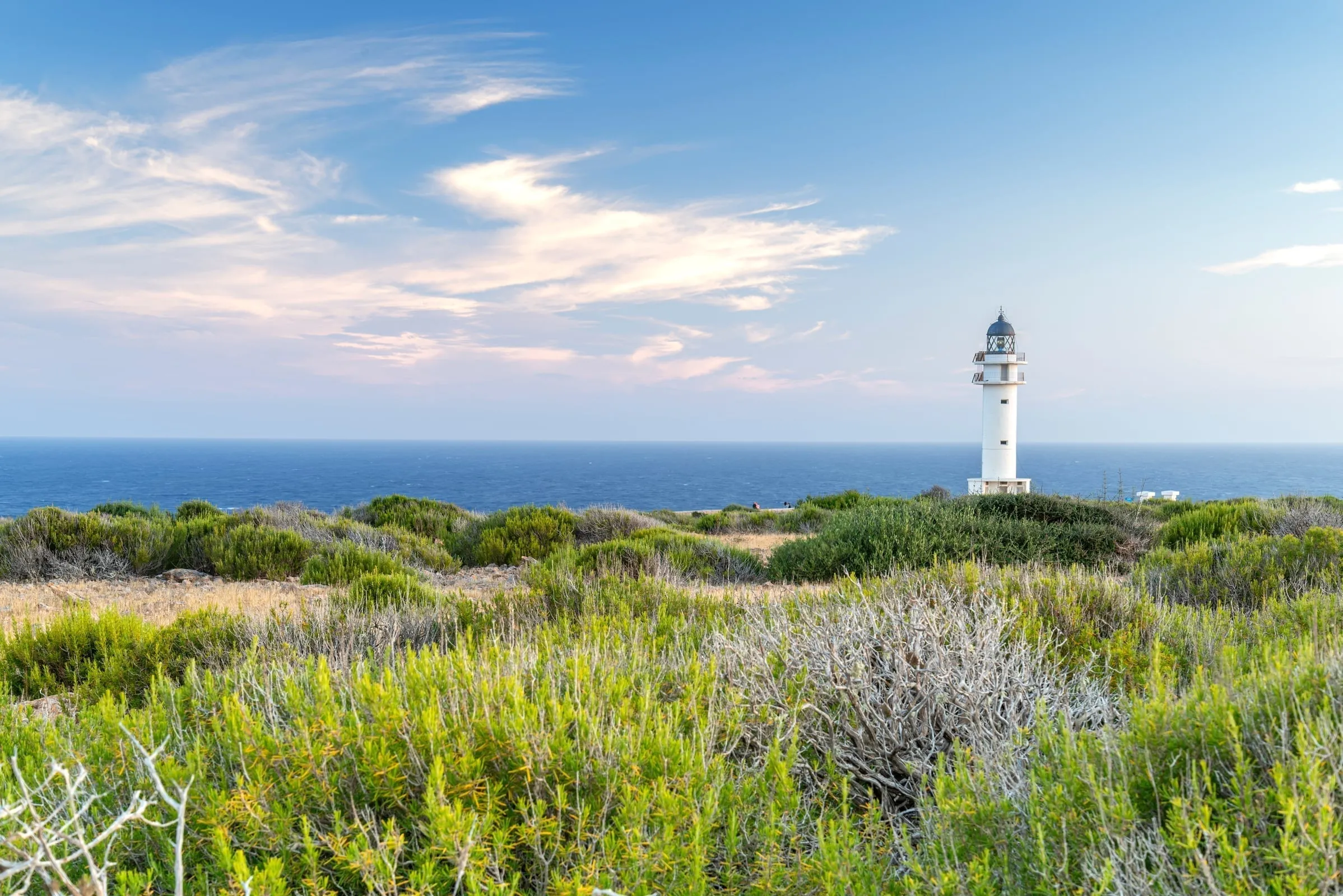Lighthouse on Formentera with wild rosemary plants in foreground