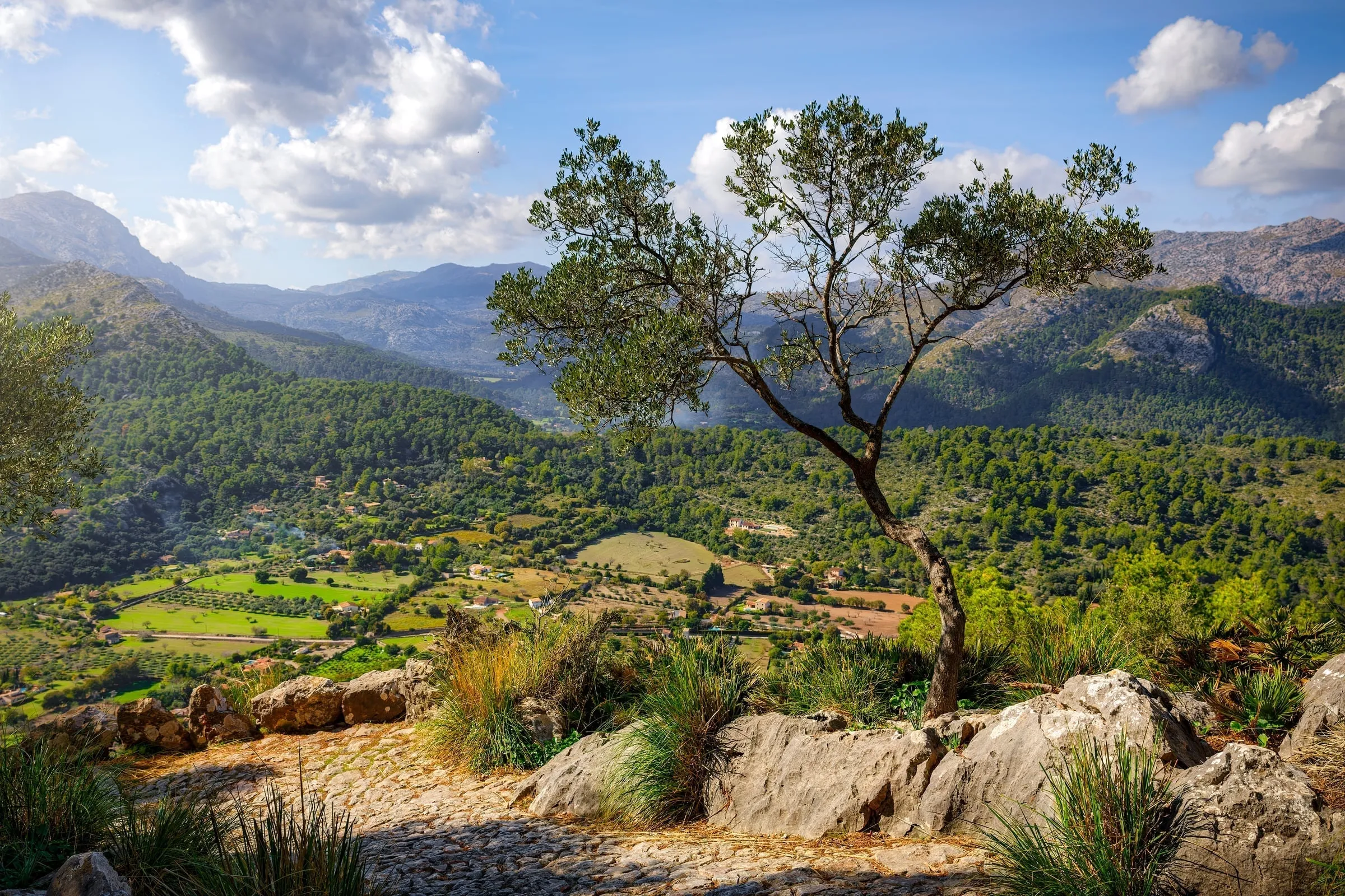 Serra de Tramuntana valley view showing terraced landscapes and mountain peaks