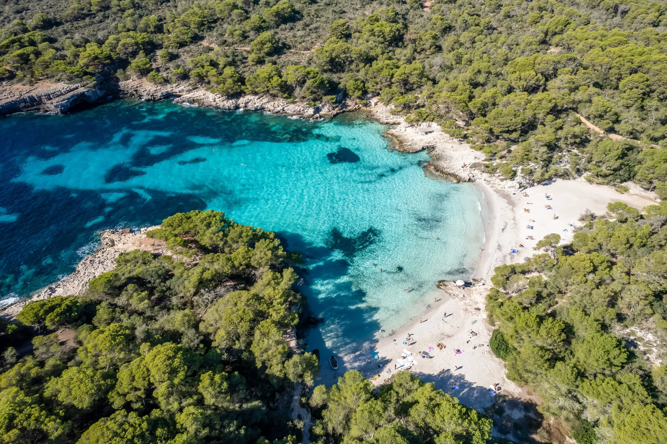 Cala Turqueta's perfect horseshoe bay from the cliff viewpoint, showing white sand beach and graduated blue waters framed by pine trees