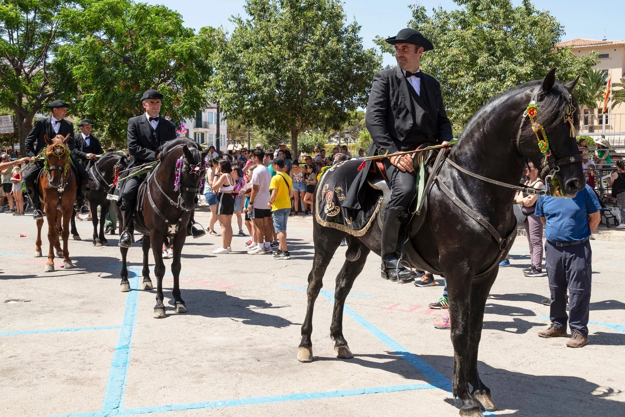 Black Menorcan horse rearing during Sant Joan festival with rider in traditional costume, surrounded by crowds throwing hazelnuts
